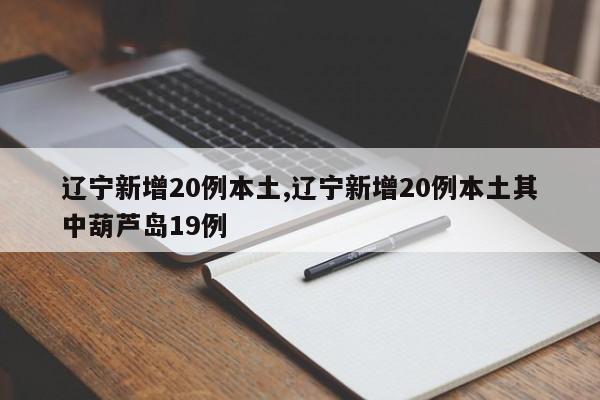 辽宁新增20例本土,辽宁新增20例本土其中葫芦岛19例