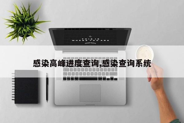 感染高峰进度查询,感染查询系统