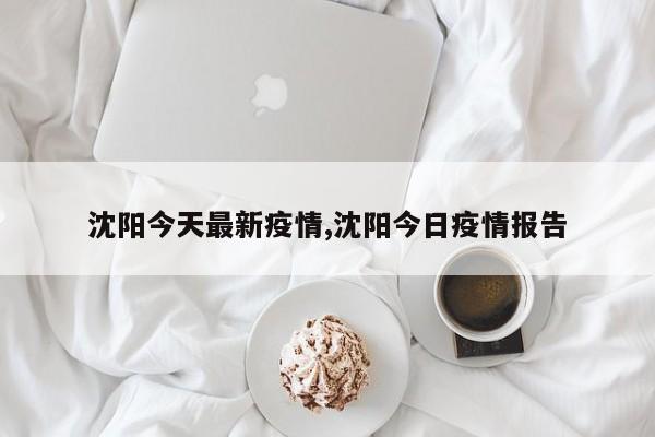 沈阳今天最新疫情,沈阳今日疫情报告